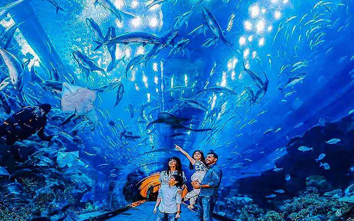 Dubai Mall Aquarium Underwater & Zoo
