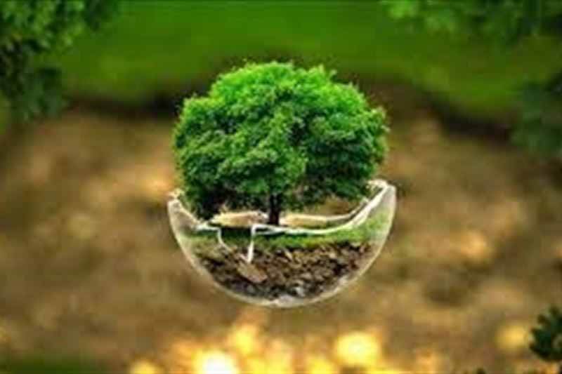 أطفالنا وتربيتهم البيئية