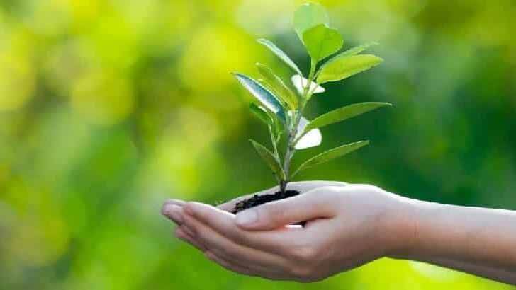 أطفالنا وتربيتهم البيئة 