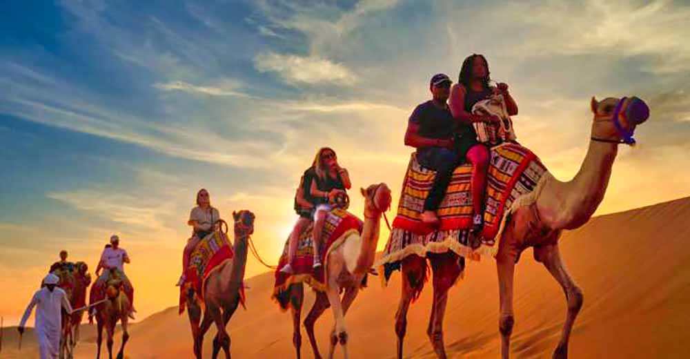 Dubai Desert Safari - Camel Ride