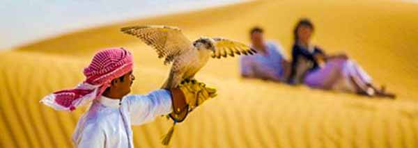 Falcon Dubai Desert Safari